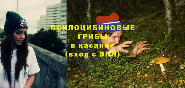 хмурый Алексеевка