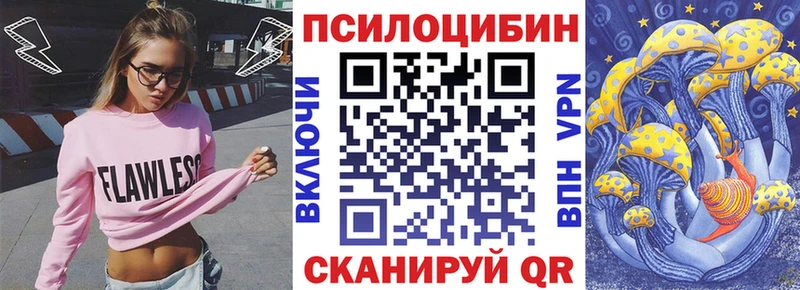Псилоцибиновые грибы GOLDEN TEACHER  Кола 